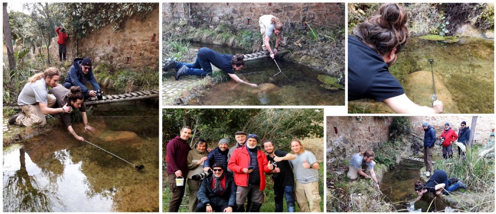 Il Laghetto del Centro di Entomologia - Piombino (LI)